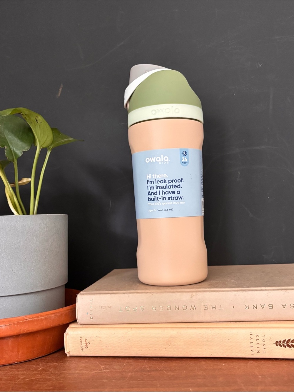 Owala Kids Insulated Leak-Proof Water Bottle - Sage & Cream 16oz